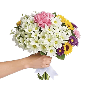 Ivory Blossom Radiance