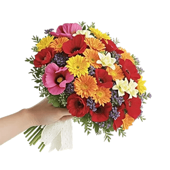 Blossom Harmony Display