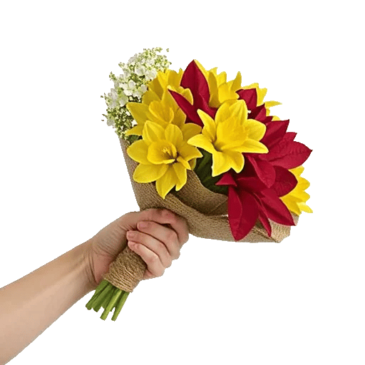 Blossom Harmony Display