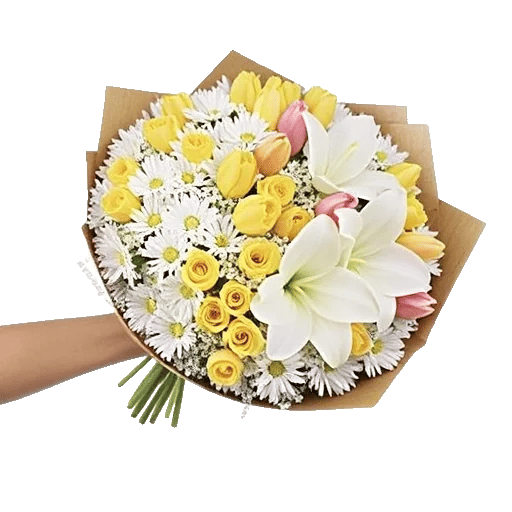Ivory Garden Grace