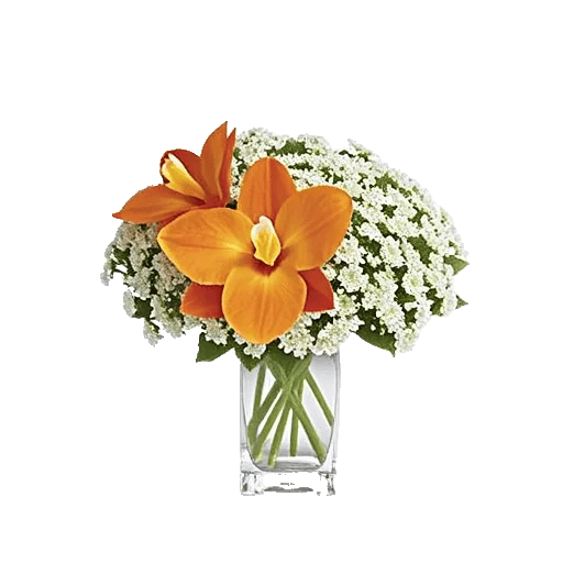 Orchid Bloom Cascade