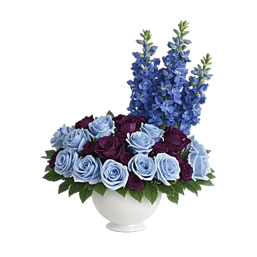 Elegant Blue Roses