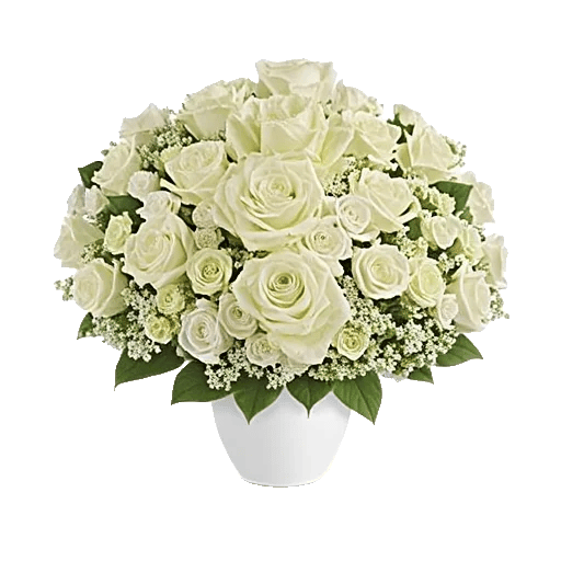 Modern White Orchids
