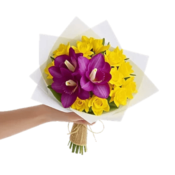 Serenity Orchid Bloom