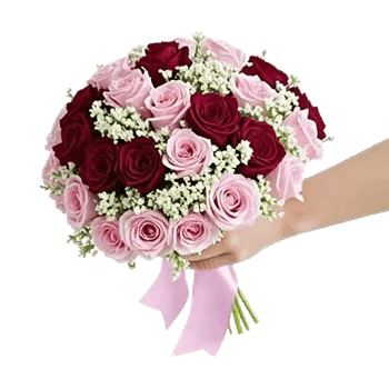 Blushing Rose Symphony