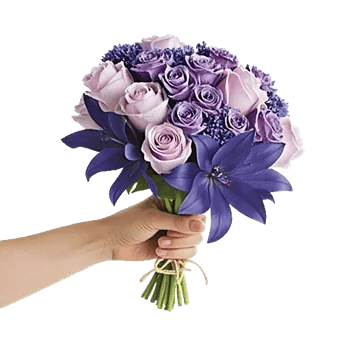 Blossom Petal Serenity