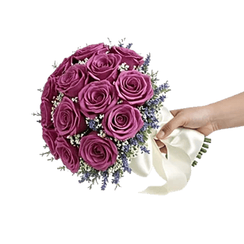 Pastel Pink Roses