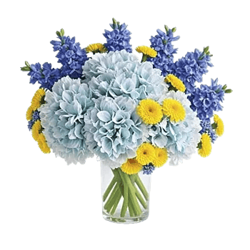 Sapphire Bloom Whisper