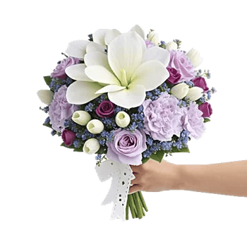 Serene Petal Harmony