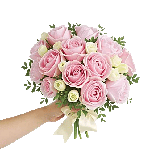 Pastel Pink Roses