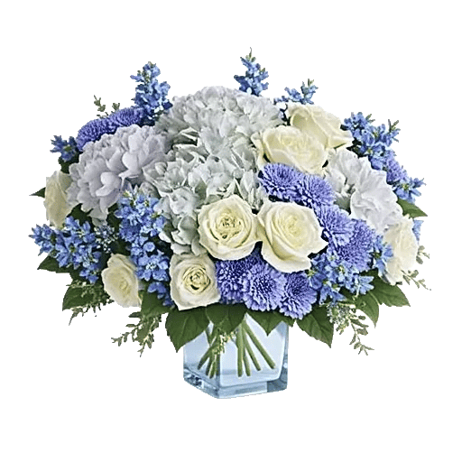 Azure Sky Blooms