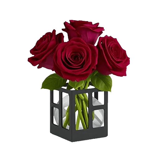 Crimson Rose Elegance