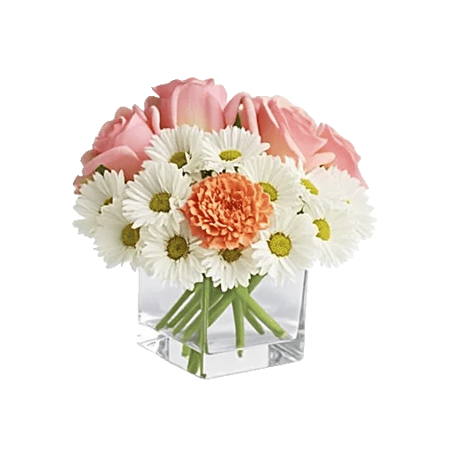 Petal Harmony Bliss