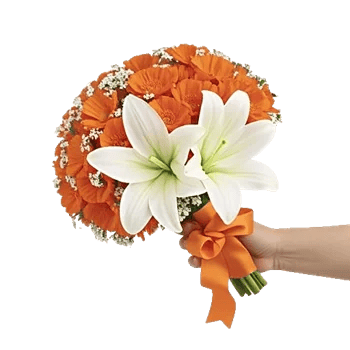 Petal Harmony Bliss
