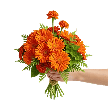 Vibrant Orange Delight