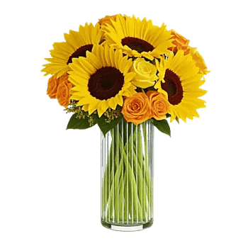 Golden Bloom Radiance