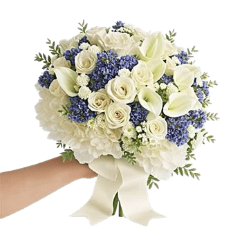 Ivory Garden Grace