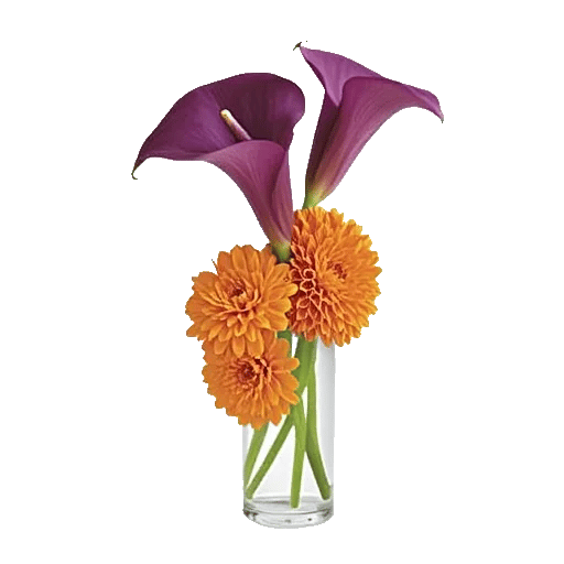 Elegant Calla Lilies