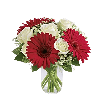 Petal Radiance Bliss