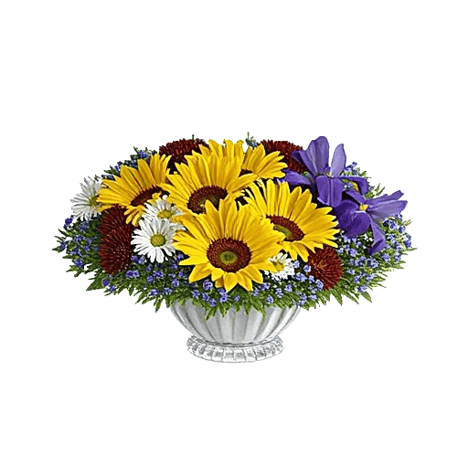 Radiant Bloom Cascade