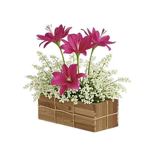 Graceful Lily Display