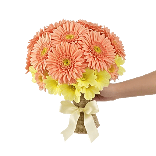 Petal Radiance Bliss
