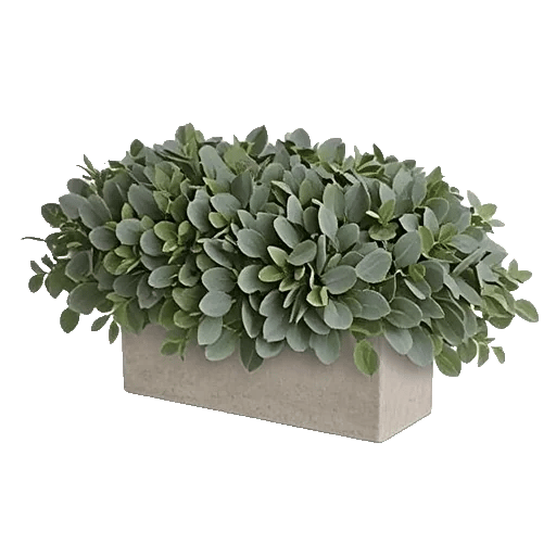 Emerald Leaf Harmony