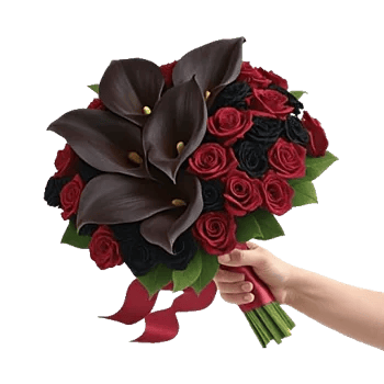 Elegant Calla Lilies
