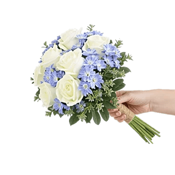 Blossom Petal Serenity