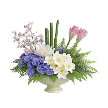 Serenity Orchid Bloom