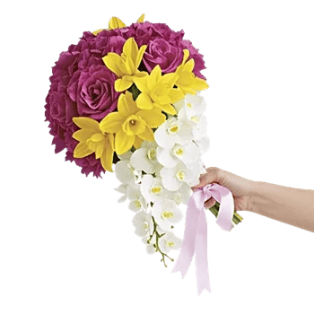 Orchid Bloom Cascade