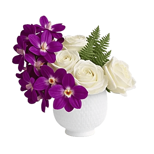 Modern White Orchids