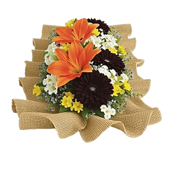 Radiant Bloom Cascade