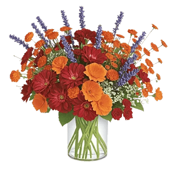 Petal Radiance Bliss