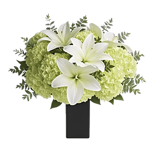 Ivory Blossom Radiance