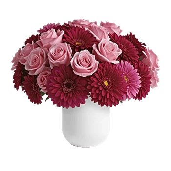 Pink Pastel Roses