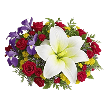 Ivory Blossom Radiance