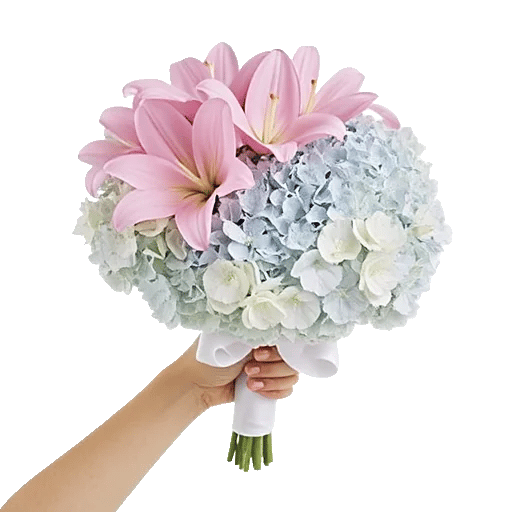 Blossom Petal Serenity