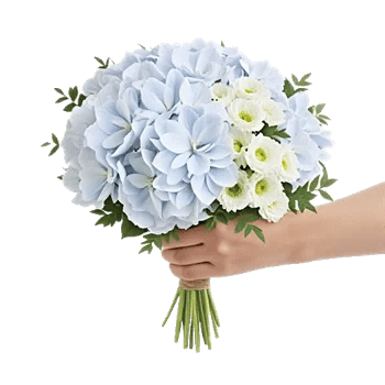 Serene Petal Harmony