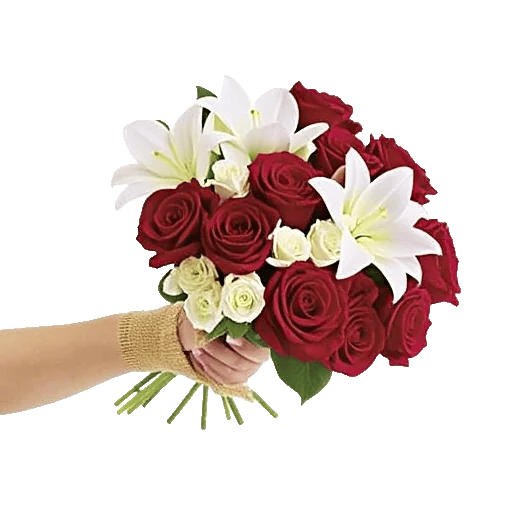 Crimson Rose Elegance