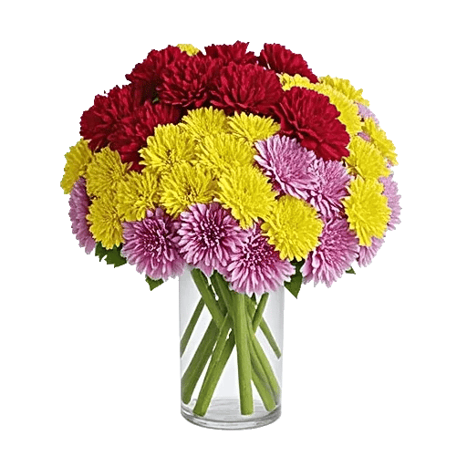 Delicate Petal Cascade