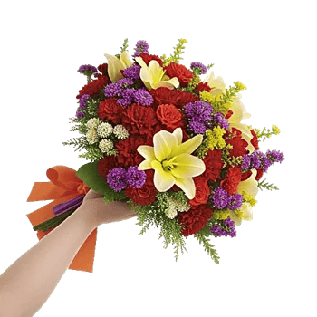 Petal Harmony Bliss