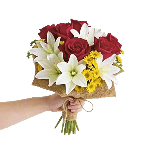 Crimson Rose Elegance