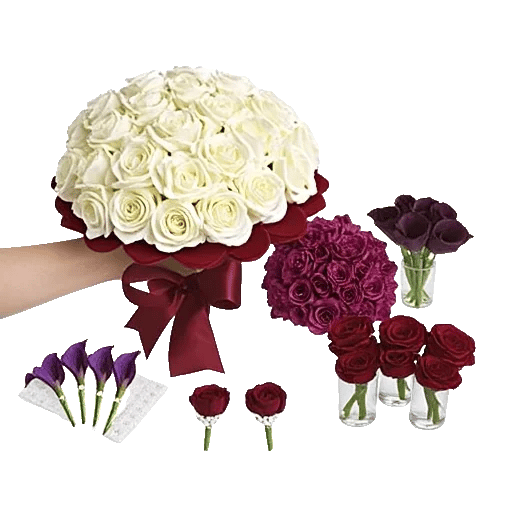 Elegant Calla Lilies