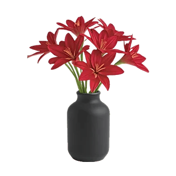 Crimson Lily Glow