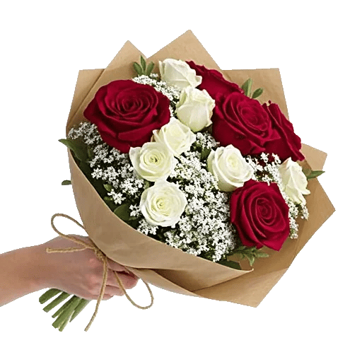 Crimson Rose Elegance