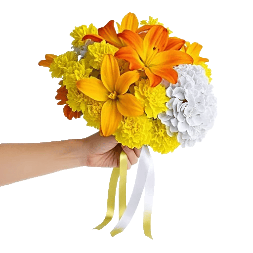 Blossom Harmony Display