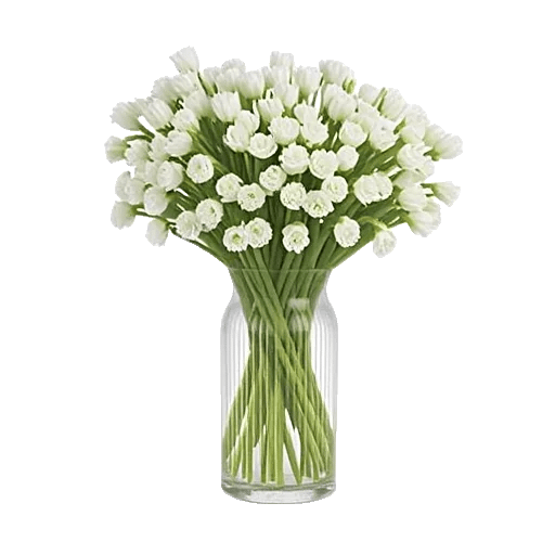 Ivory Blossom Radiance