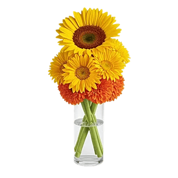 Radiant Bloom Cascade