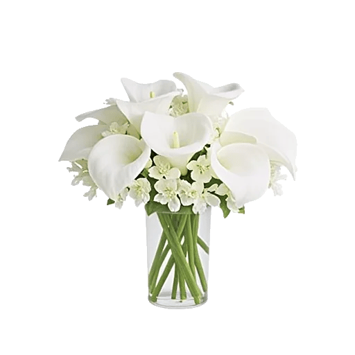 Elegant Calla Lilies